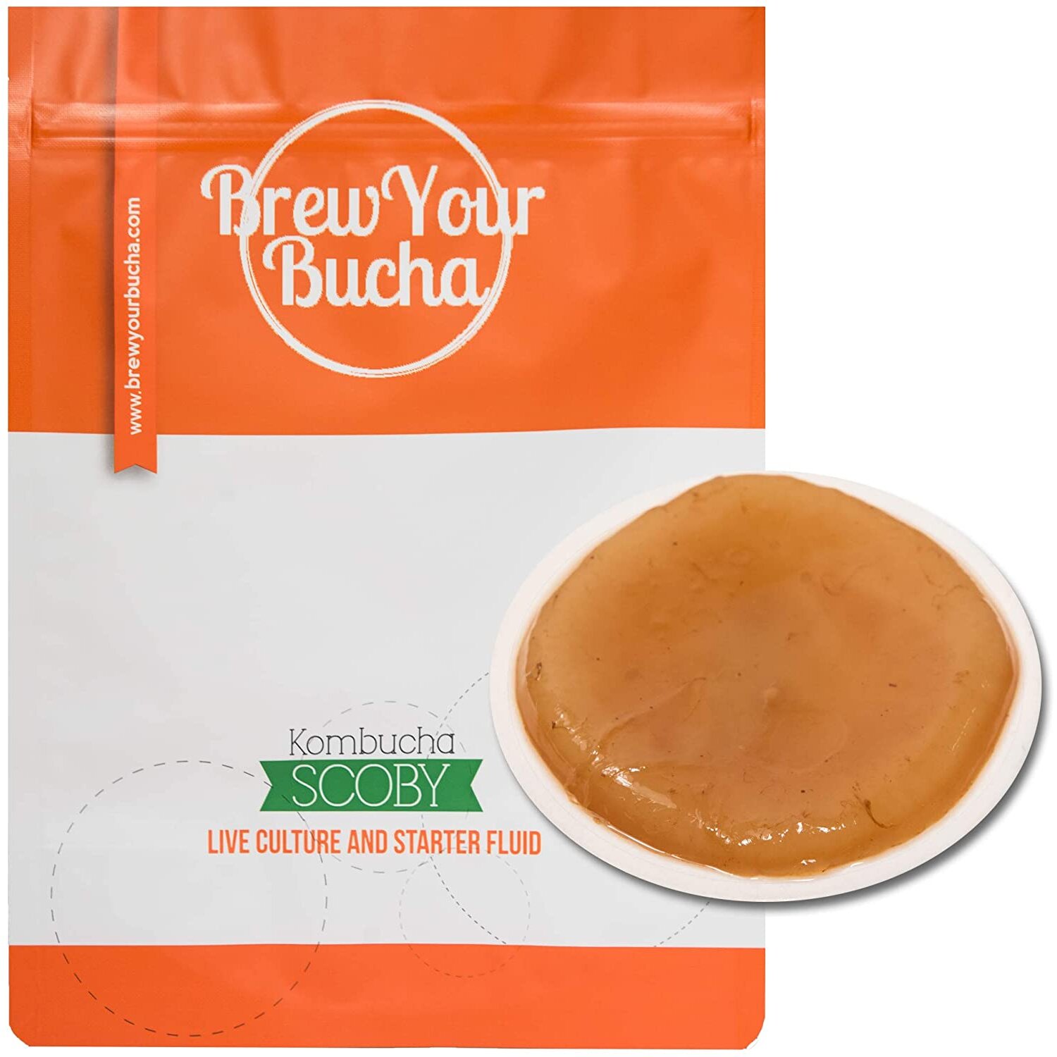Brew Your Bucha Kombucha Tea SCOBY with Starter Fluid. SCOBY Grown with Our Premium Hand-Selected Black Yunnan Gold Tea (1)